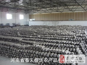 食用菌產業的全面服務 菌棒、菌袋、菌種及進出口解決方案