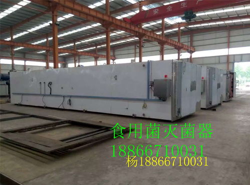 公司黑木耳方形高壓蒸汽滅菌器高清圖片及食用菌菌種進(jìn)出口解析